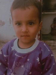 Ali hamza Baloch
